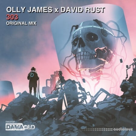 Olly James Signature Sounds Vol.35 303