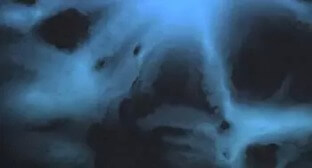 Native Instruments Scene Willow