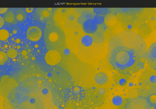 Native Instruments Leap Songwriter Drums