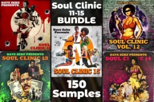 Dave Zeke Soul Clinic Volumes 11-15 BUNDLE (150 Prechopped Samples)