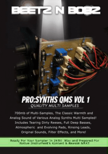 Beetz N Bobz Pro Synths QMS Vol.1