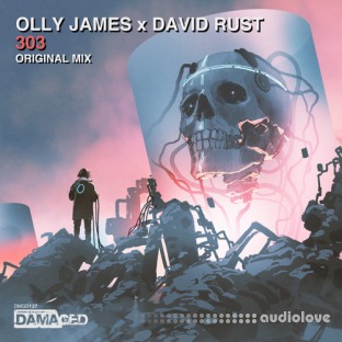 Olly James Signature Sounds Vol.35 303