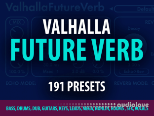 Andi Vax Valhalla Future Verb 191 Presets