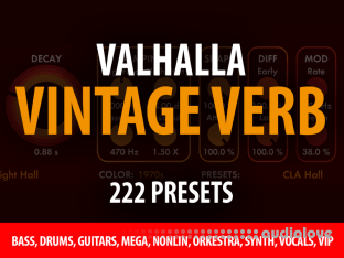 Andi Vax Valhalla Vintage Verb 222 Presets