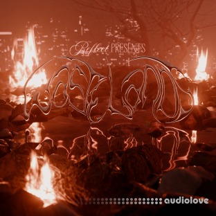 Reflect Wastelands Multi Kit