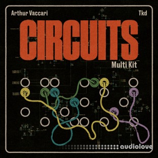 Wavi.audio Arthur Vaccari Circuits Multikit