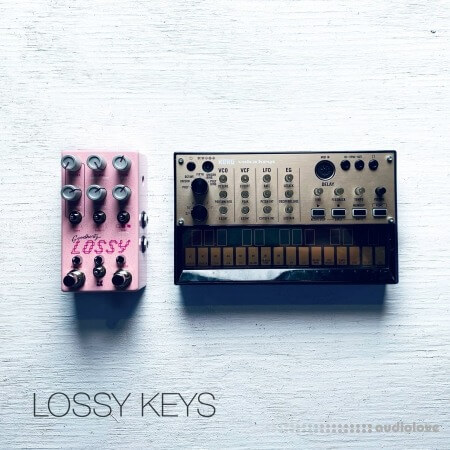 David Hilowitz Lossy Keys by Decent Samples