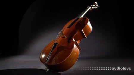 Vienna Symphonic Library Synchron Duality Strings Elite Full for Synchron Player