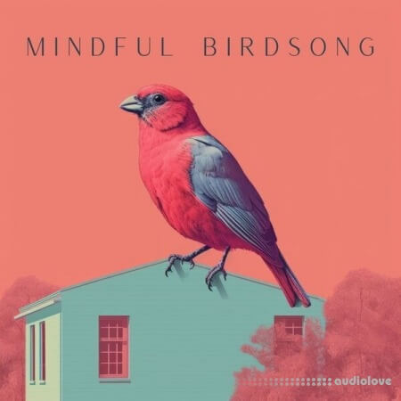 Sound FX Zone Mindful Birdsong