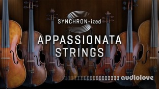 Vienna Symphonic Library Studio Appassionata Strings for Synchron Player