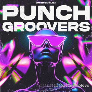 Banger Samples Punch Groovers