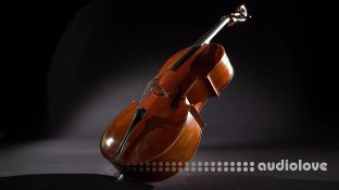 Vienna Symphonic Library Synchron Duality Strings Elite Full for Synchron Player