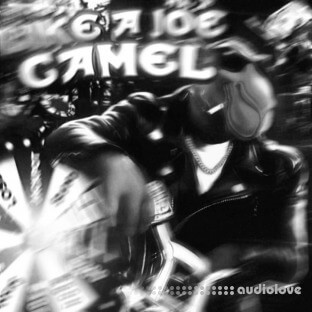 Djcodeinewar Like a Joe Camel Zenology Bank