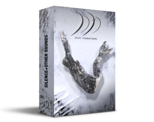 Silence+Other Sounds DOJO