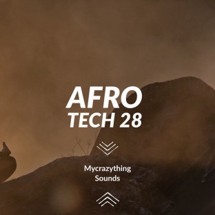 Mycrazything Records Afro Tech 28