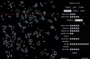 Dog Magic Grain of Life