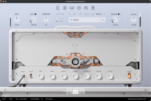 Neural DSP Archetype Misha Mansoor X