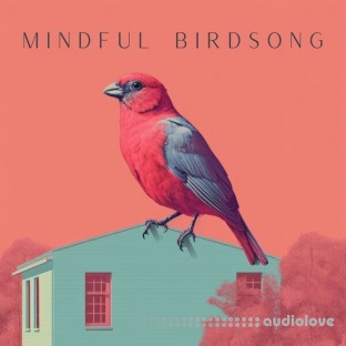 Sound FX Zone Mindful Birdsong