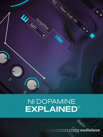 Groove3 NI Dopamine Explained