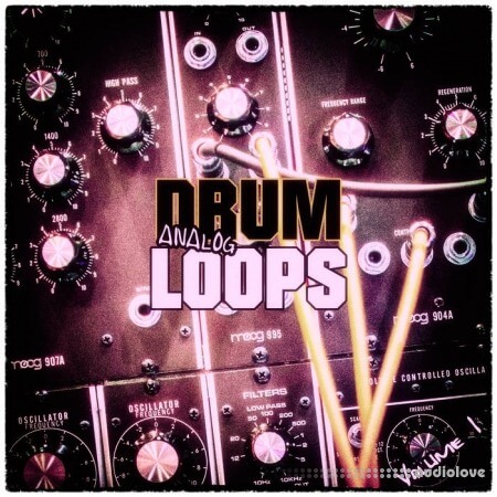 Analog Samples Analog Drum Loops