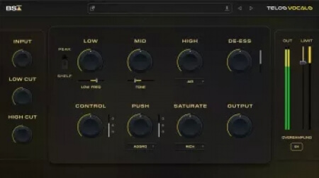 Black Salt Audio Telos Vocals