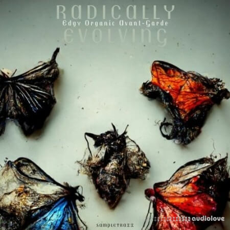 SampleTraxx Radically Evolving