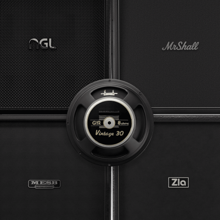 Audio Assault Seacow Cabs OVERSIZED BEASTS: BKV30 Amp Locker Cabs Presets IRs