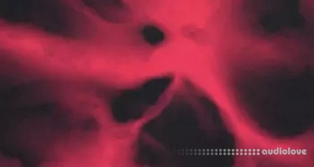 Native Instruments Scene Bloodplant