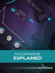 Groove3 NI Dopamine Explained