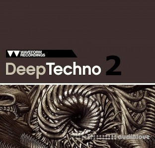 Waveform Recordings Deep Techno 2