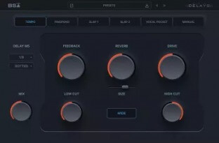 Black Salt Audio BSA Delays