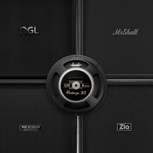 Audio Assault Seacow Cabs OVERSIZED BEASTS: BKV30 Amp Locker Cabs Presets IRs