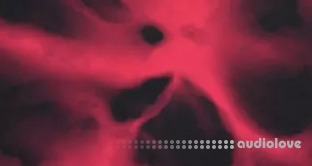 Native Instruments Scene Bloodplant