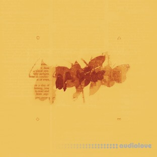 tesnow  evolus mutare vias