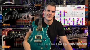 Udemy Blues Guitar Basics: Blues Scales, Licks and Soloing for Lead