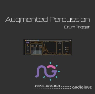 Noise Garden Augmented Percussion
