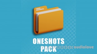 Will Hatton LoFi BoomBap Oneshots Pack
