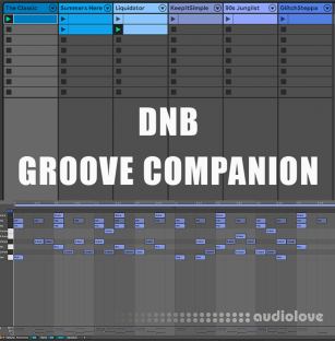 Will Hatton DnB Groove Companion
