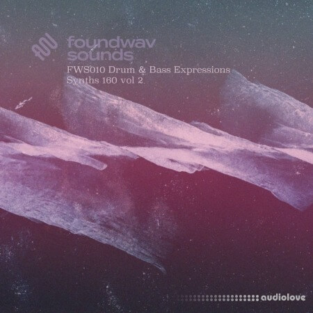 foundwav sounds FWS010 Drum and Bass Expressions Synths 160 Vol 2