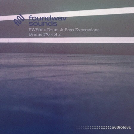 foundwav sounds FWS004 Drum and Bass Expressions Drums 170 Vol 2