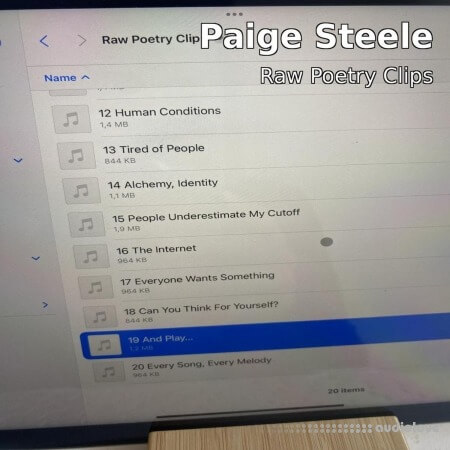 Paige Steele Raw Poetry Vocal Sample Pack