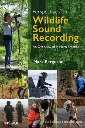 Perspectives on Wildlife Sound Recording: An Overview of Modern Practice