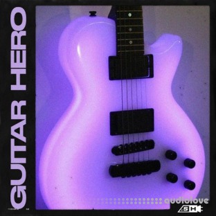 Sample Hub Guitar Hero