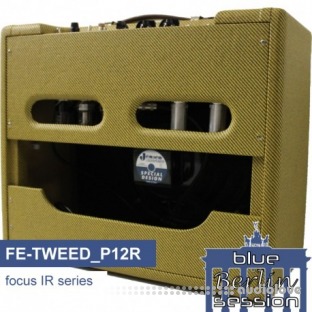 cabIR Fe-Tweed P12R