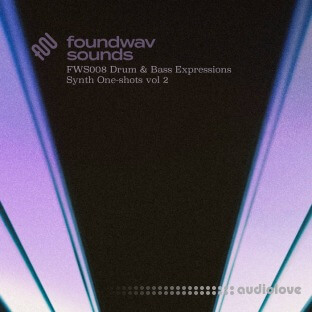 foundwav sounds FWS008 Drum and Bass Expressions Synth Oneshots Vol 2