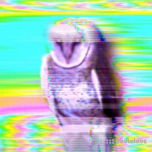 G.E.D. Soul Sound Library 4th Kind...drum Loops