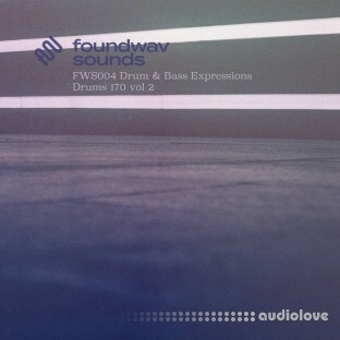 foundwav sounds FWS004 Drum and Bass Expressions Drums 170 Vol 2