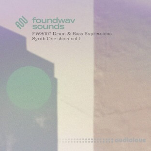 foundwav sounds FWS007 Drum and Bass Expressions Synth Oneshots Vol 1