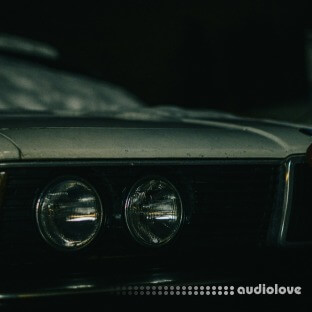 Gibberish Samples Icy