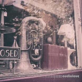 Gibberish Samples Past Chopped Soul x Hip Hop x Vintage (Sample Pack/ Loop Kit)